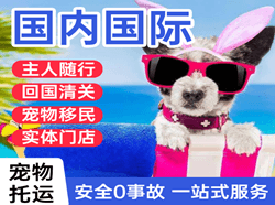 唐山航空货运国际宠物托运 【国